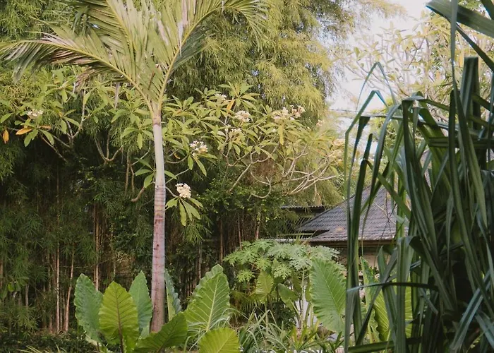 Cozy Garden With Shared Pool Pensión
